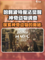 哈利波特魔法觉醒神奇动物调查是什么介绍