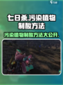 七日世界污染植物制酸方法有哪些介绍