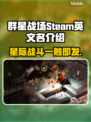 群星战场Steam英文名大起底！🌟游戏党必看🔥