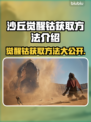 沙丘觉醒钴获取攻略来啦！🎉游戏党必看🔥