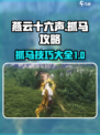 燕云十六声怎么抓马介绍