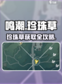 《鸣潮珍珠草全收集攻略💎速拿指南》