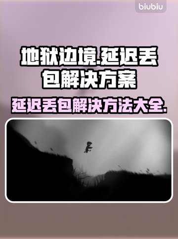 地狱边境延迟丢包？❌解决方案来了！⚡截图1