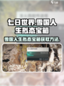 七日世界雪国人生拟态宝箱如何获取介绍