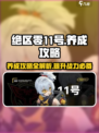 绝区零11号养成攻略💥，快速上手秘籍🎉