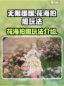 无限暖暖花海怎么拍照介绍