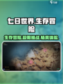 七日世界玩法是什么介绍