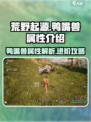 荒野起源鸭嘴兽属性是什么介绍
