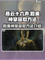 燕云十六声如来神掌如何获取介绍