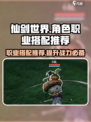 仙剑世界角色职业搭配推荐介绍