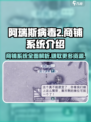 阿瑞斯病毒2商铺系统🔥卖什么赚最多？游戏技巧大曝光！