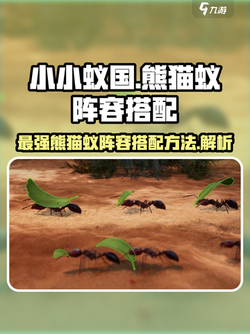 小小蚁国最强熊猫蚁阵容介绍截图1