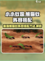 小小蚁国最强熊猫蚁阵容介绍