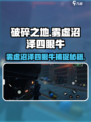 《破碎之地》雾虚沼泽四眼牛捕捉攻略💥🎮