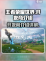 王者荣耀世界开发商是谁介绍