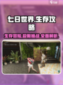 七日世界完整攻略介绍