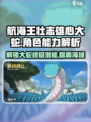 航海王壮志雄心大蛇怎么样介绍
