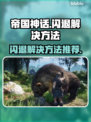 帝国神话🔥闪退解决秘籍，玩家必看！🎮