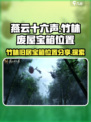 燕云十六声竹林废屋宝箱位置分享介绍