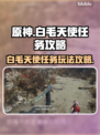 原神：白毛天使任务怎么做？💥🔥