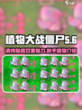 植物大战僵尸杂交版清纯女大是什么介绍