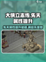大侠立志传😎先天属性提升秘籍🔥游戏党必看！