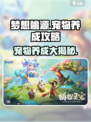 梦想桃源宠物养成🔥超全攻略来了！🐾