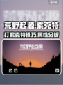 荒野起源索克特怎么打介绍