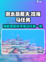 潜水员戴夫怎么抓海马介绍