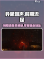 异象回声攻略介绍介绍