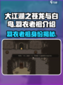 大江湖之苍龙与白鸟羽衣老祖是谁介绍