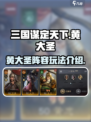 三国谋定天下黄大圣阵容介绍介绍