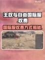 王权与自由国际服💰：免费还是收费？🤔