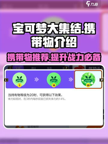 宝可梦大集结携带物介绍介绍截图1