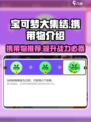宝可梦大集结携带物介绍介绍
