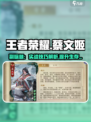 代号杀蔡文姬怎么玩介绍