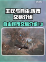 王权与自由🔥TL辉币交易秘籍🎉