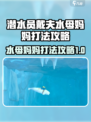潜水员戴夫水母妈妈打法介绍