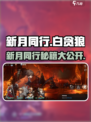 新月同行白贪狼是什么介绍