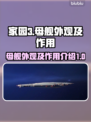 家园3母舰💎外观曝光，科幻迷必看！🚀