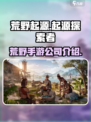 荒野起源是哪家公司的介绍