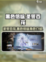 黑色信标圣誓百花是什么介绍