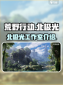 荒野起源北极光工作室怎么样介绍