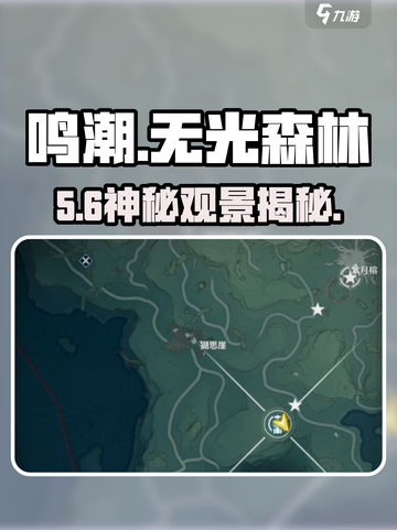 🎮鸣潮无光森林隐藏观景点曝光！截图1