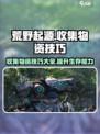 荒野起源收集物资的技巧分享介绍