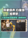 异象回声白星怎么样介绍
