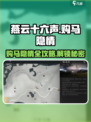 燕云十六声购马隐情是什么介绍
