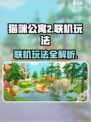 猫咪公寓2能联机吗介绍