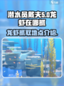 潜水员戴夫龙虾在哪抓介绍