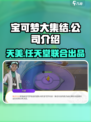 宝可梦大集结哪个公司的介绍